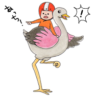 鳥レーサー（いつだって鳥は言うこと聞かない）