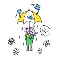 花傘